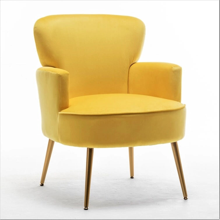 Fauteuil élégant en velours